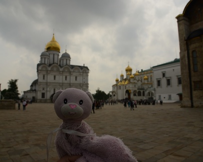 Bear - Kremlin Cathedral Square - Moscow  Russia